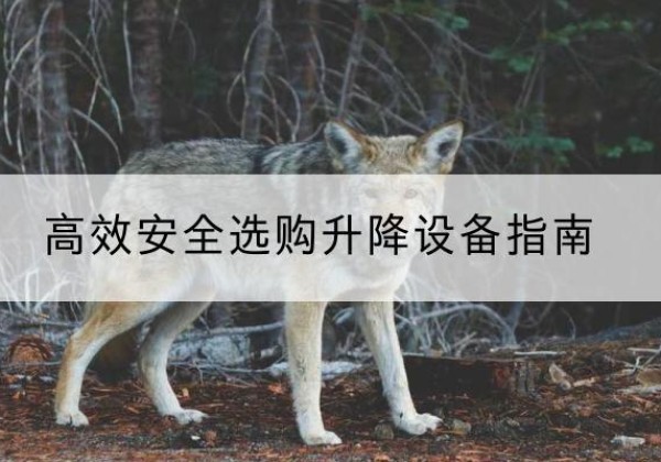 丹阳升降货梯厂家推荐-*安全选购升降设备指南