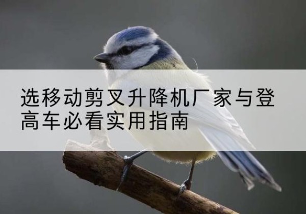 丹阳电动升降机厂家-选移动剪叉升降机厂家与登高车必看实用指南