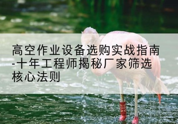丹阳剪叉式升降机厂家-高空作业设备选购实战指南-十年工程师揭秘厂家筛选核心法则